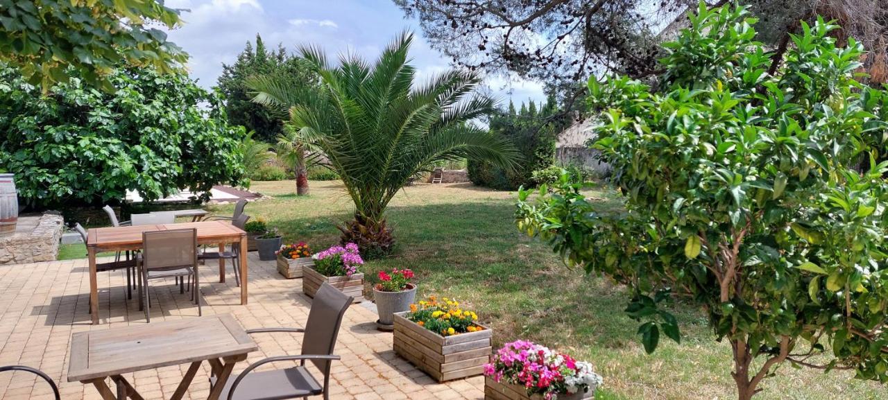 Maison Matisse Saint-Nazaire-d'Aude Dış mekan fotoğraf