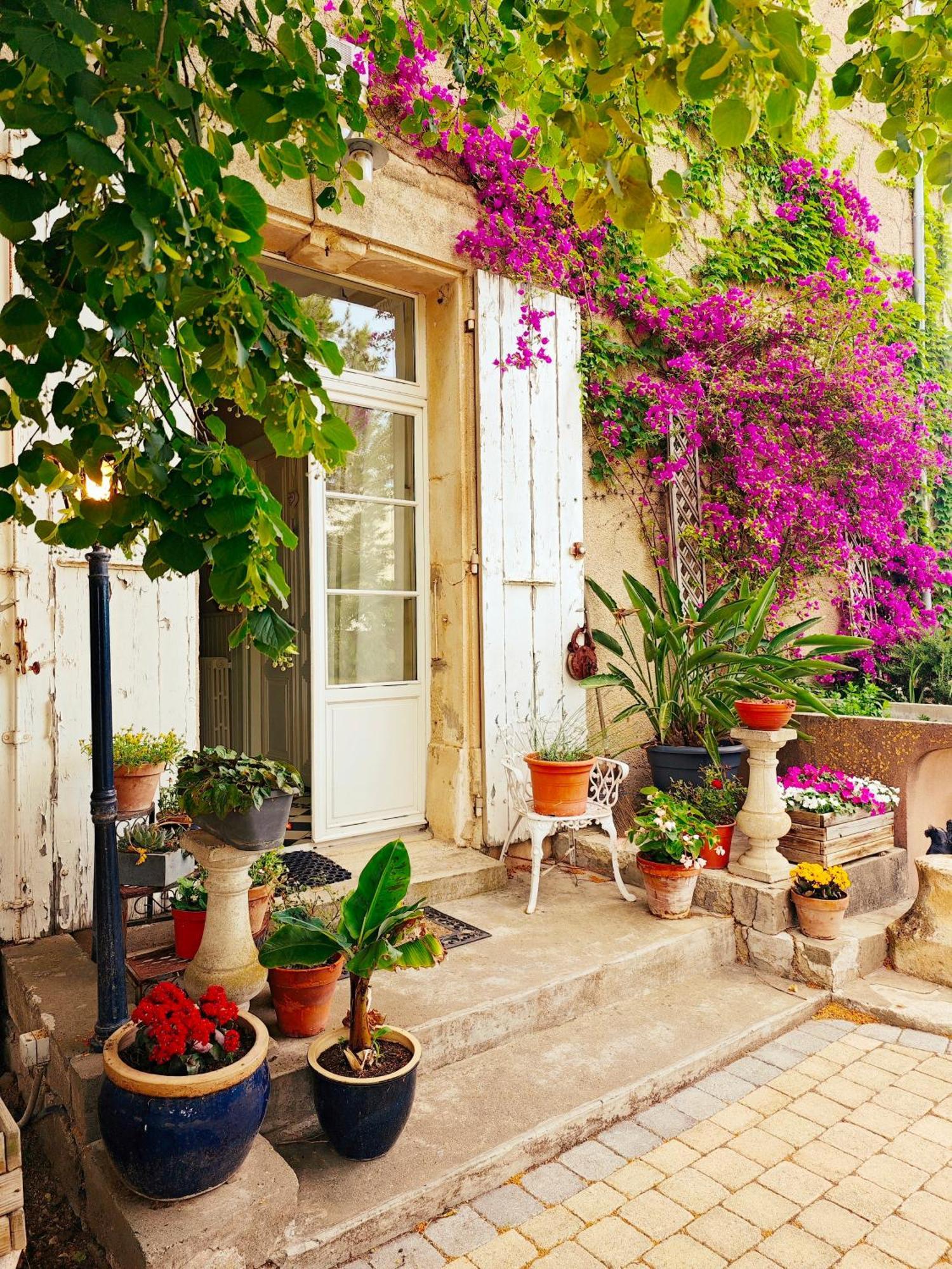 Maison Matisse Saint-Nazaire-d'Aude Dış mekan fotoğraf